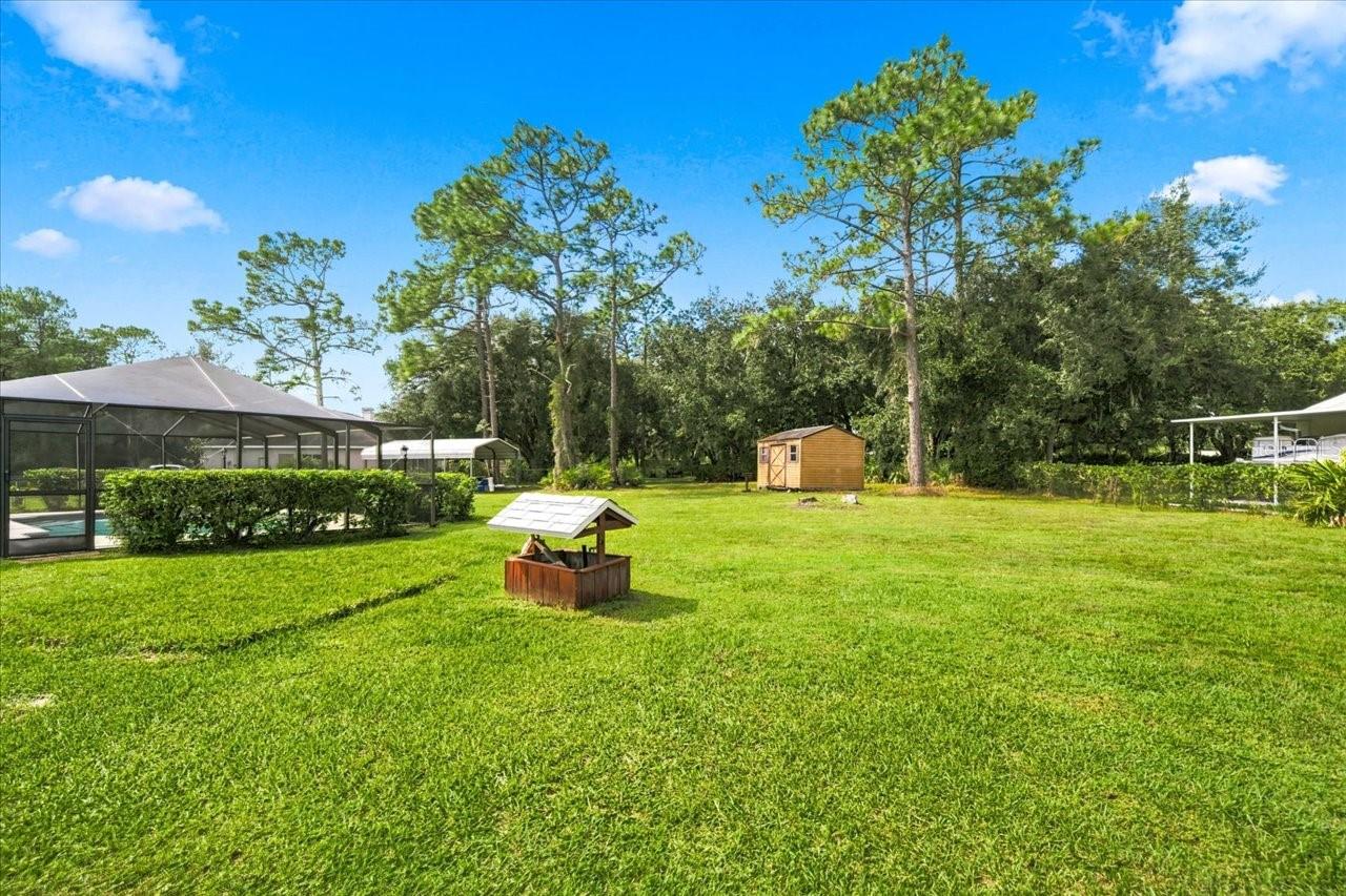 26953 CORAL VINE LANE, Wesley Chapel, FL 33544