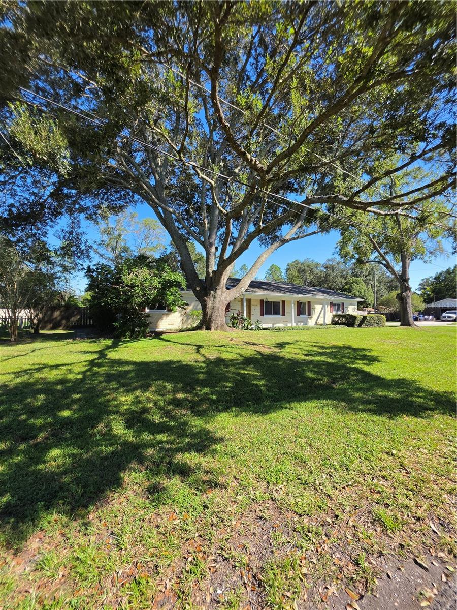 17001 MELBA LANE, Lutz, FL 33549