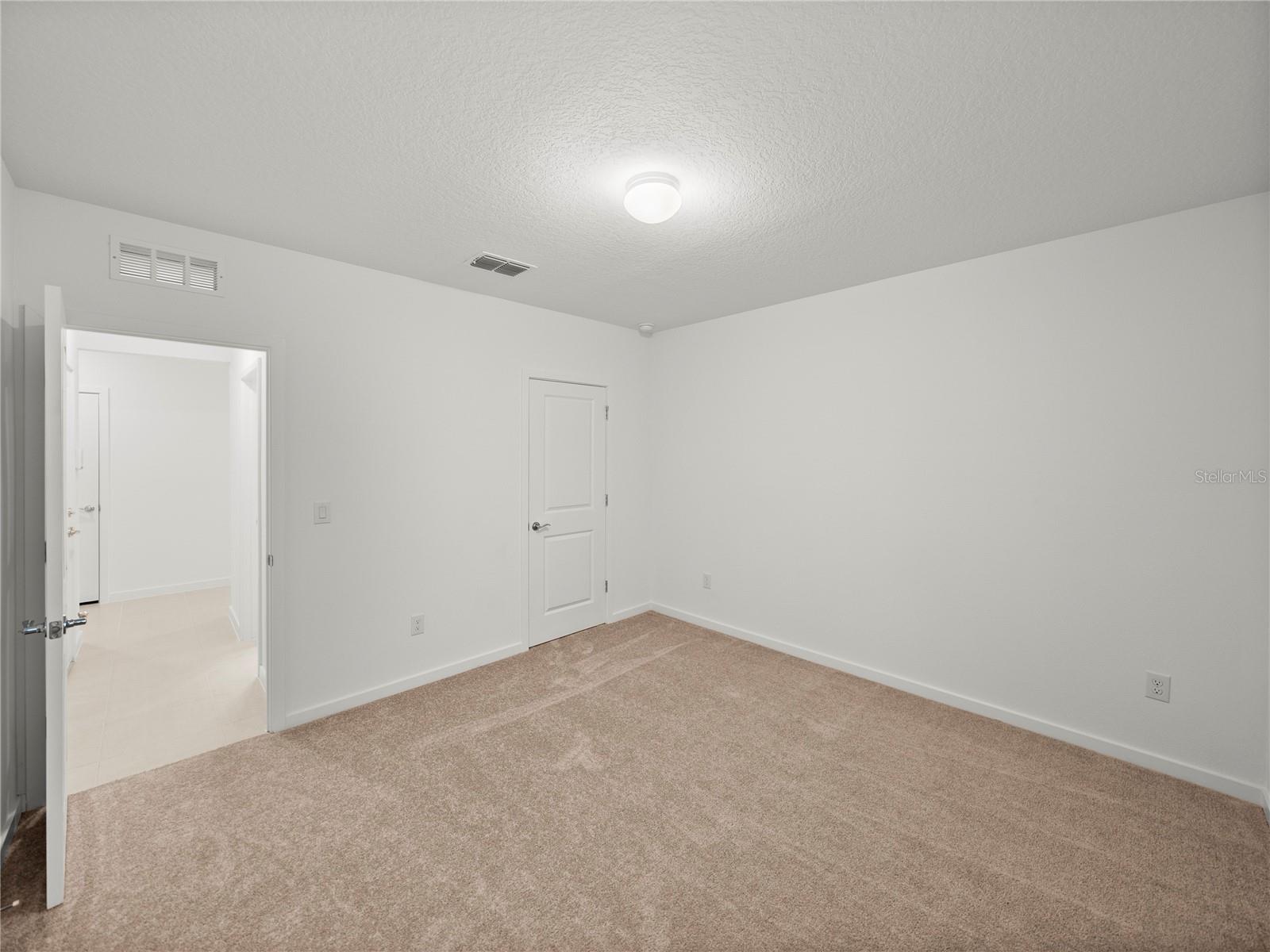 Alternate View Downstairs Bedroom w/Walk in Closet and Full Bathroom