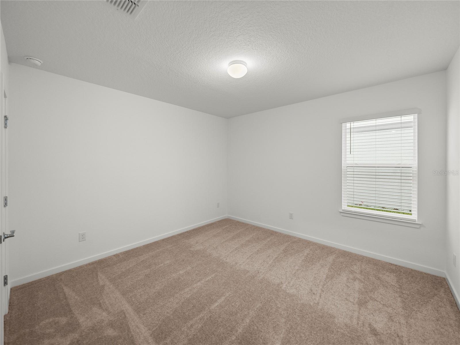 Downstairs Bedroom w/Walk in Closet and Full Bathroom