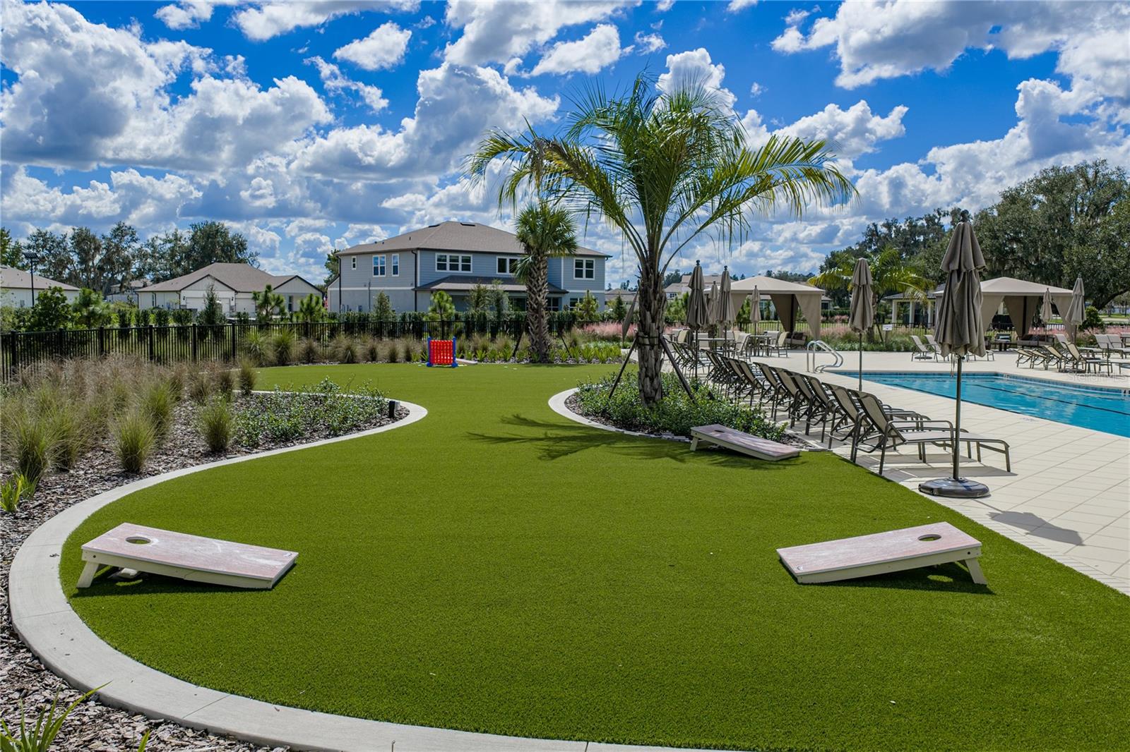 Community Activity Grass
