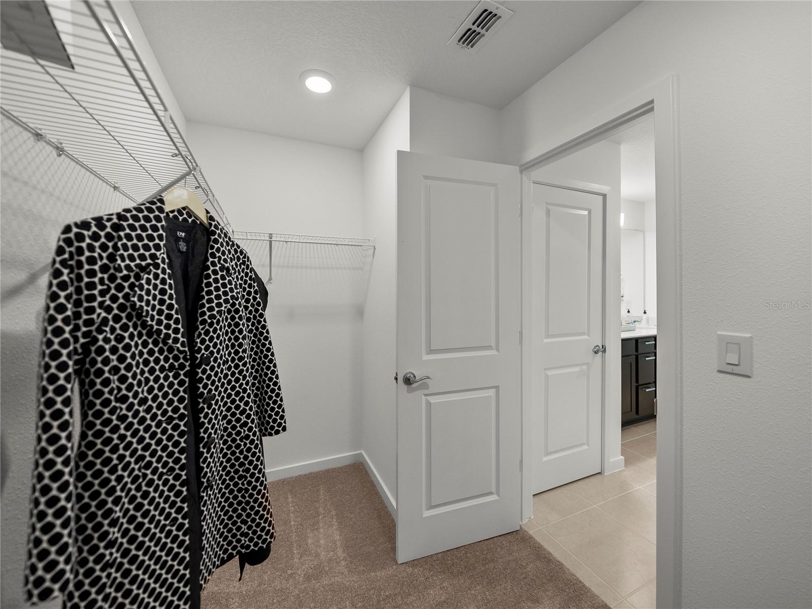 Alternate View of Primary Suite Walk in Closet