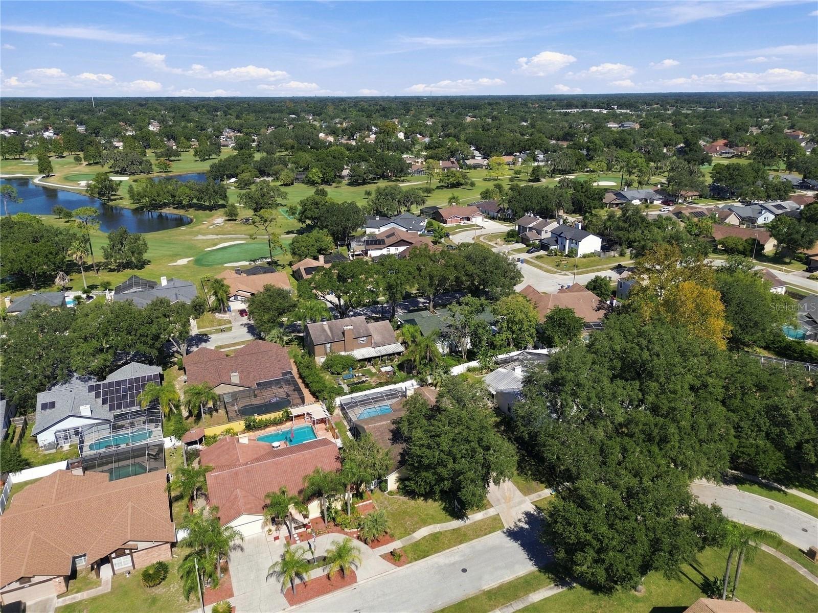 2510 BRIMHOLLOW DRIVE, Valrico, FL 33596