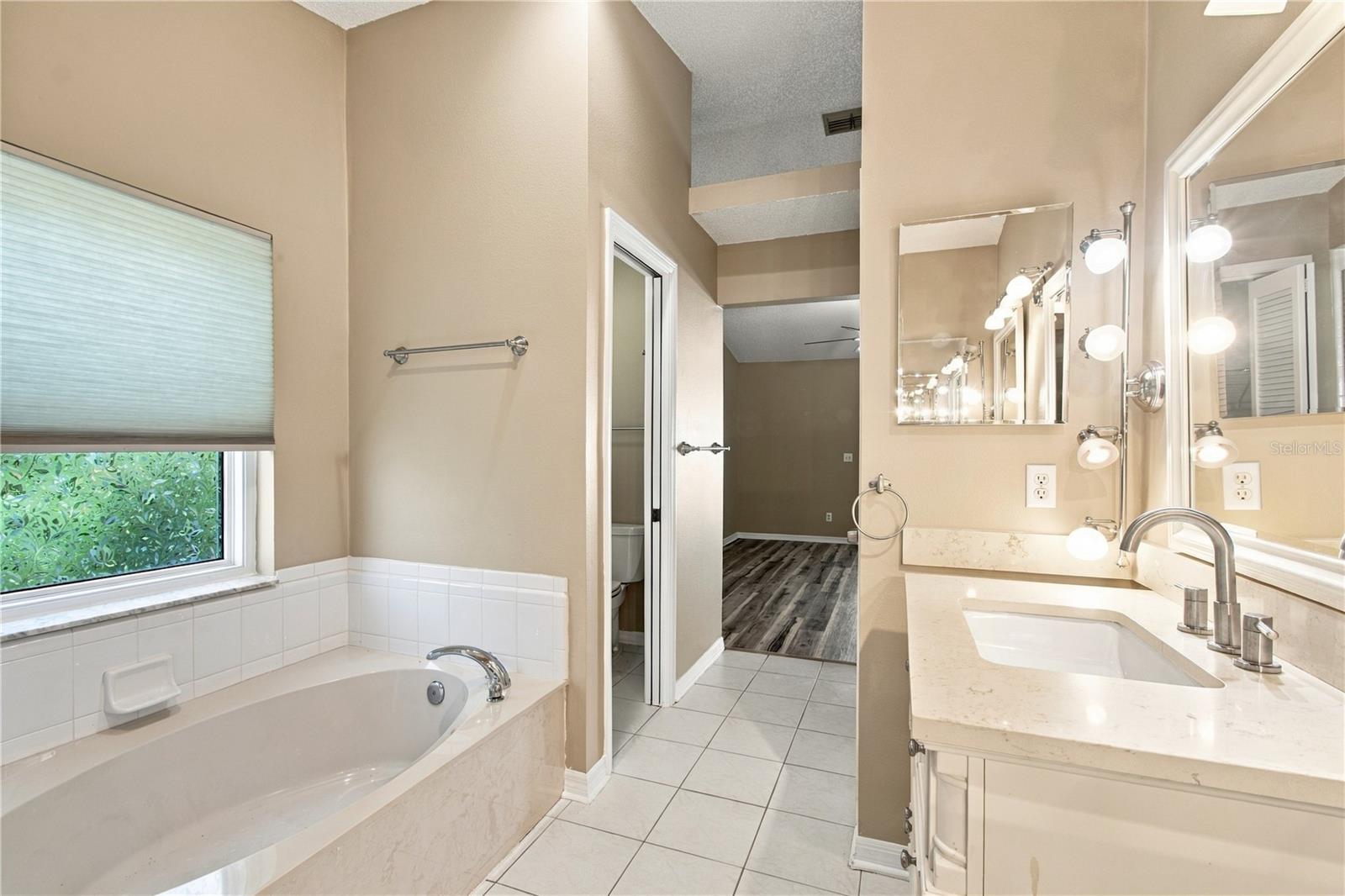 2510 BRIMHOLLOW DRIVE, Valrico, FL 33596