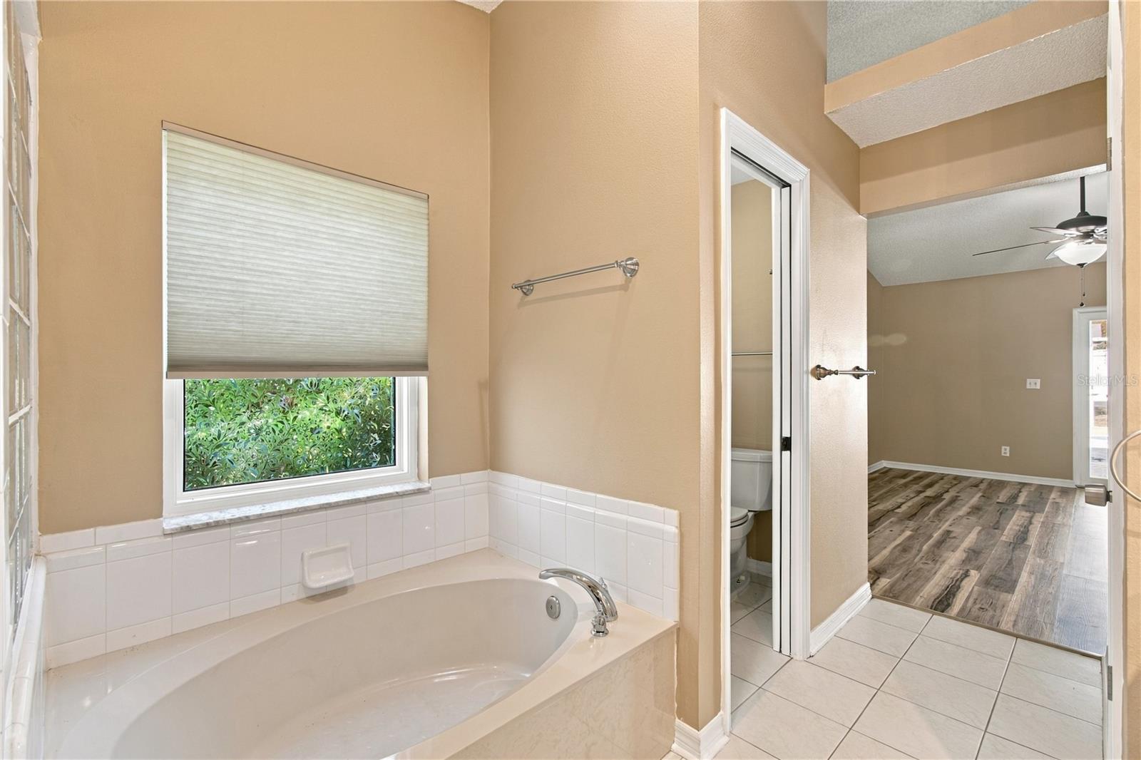 2510 BRIMHOLLOW DRIVE, Valrico, FL 33596