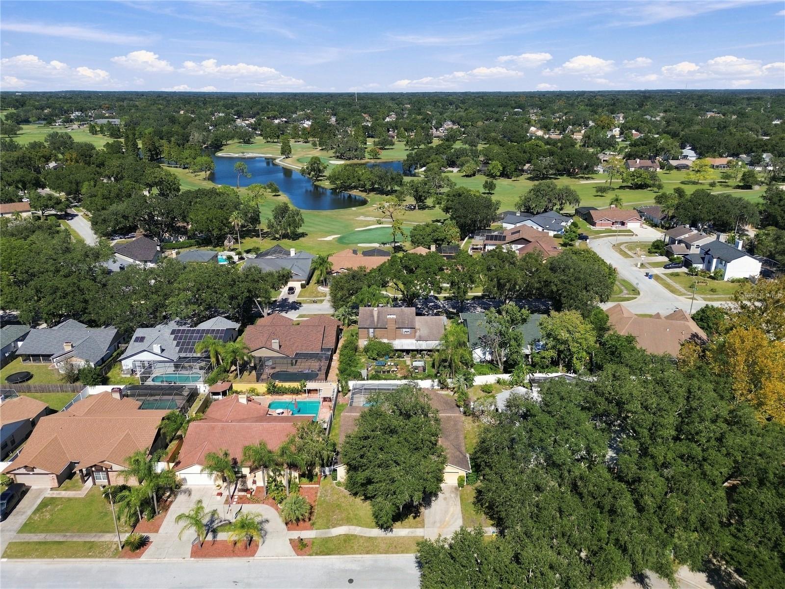 2510 BRIMHOLLOW DRIVE, Valrico, FL 33596