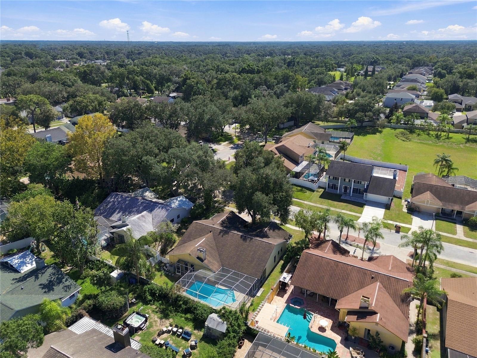 2510 BRIMHOLLOW DRIVE, Valrico, FL 33596