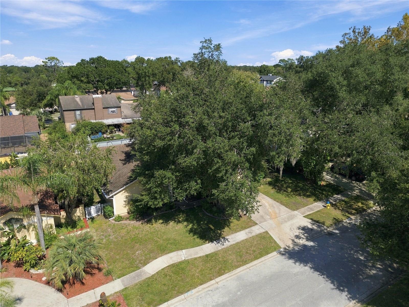 2510 BRIMHOLLOW DRIVE, Valrico, FL 33596