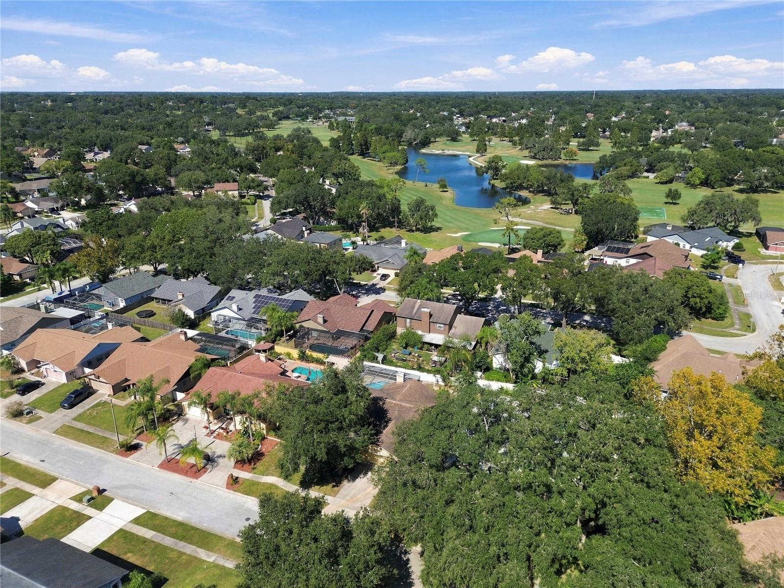 2510 BRIMHOLLOW DRIVE, Valrico, FL 33596