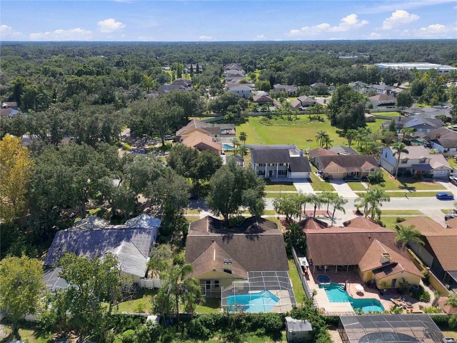 2510 BRIMHOLLOW DRIVE, Valrico, FL 33596