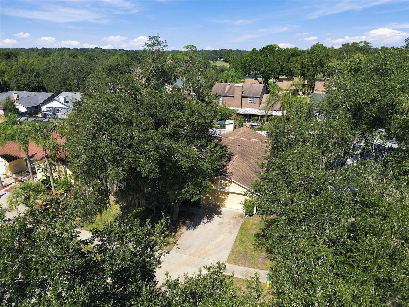 2510 BRIMHOLLOW DRIVE, Valrico, FL 33596