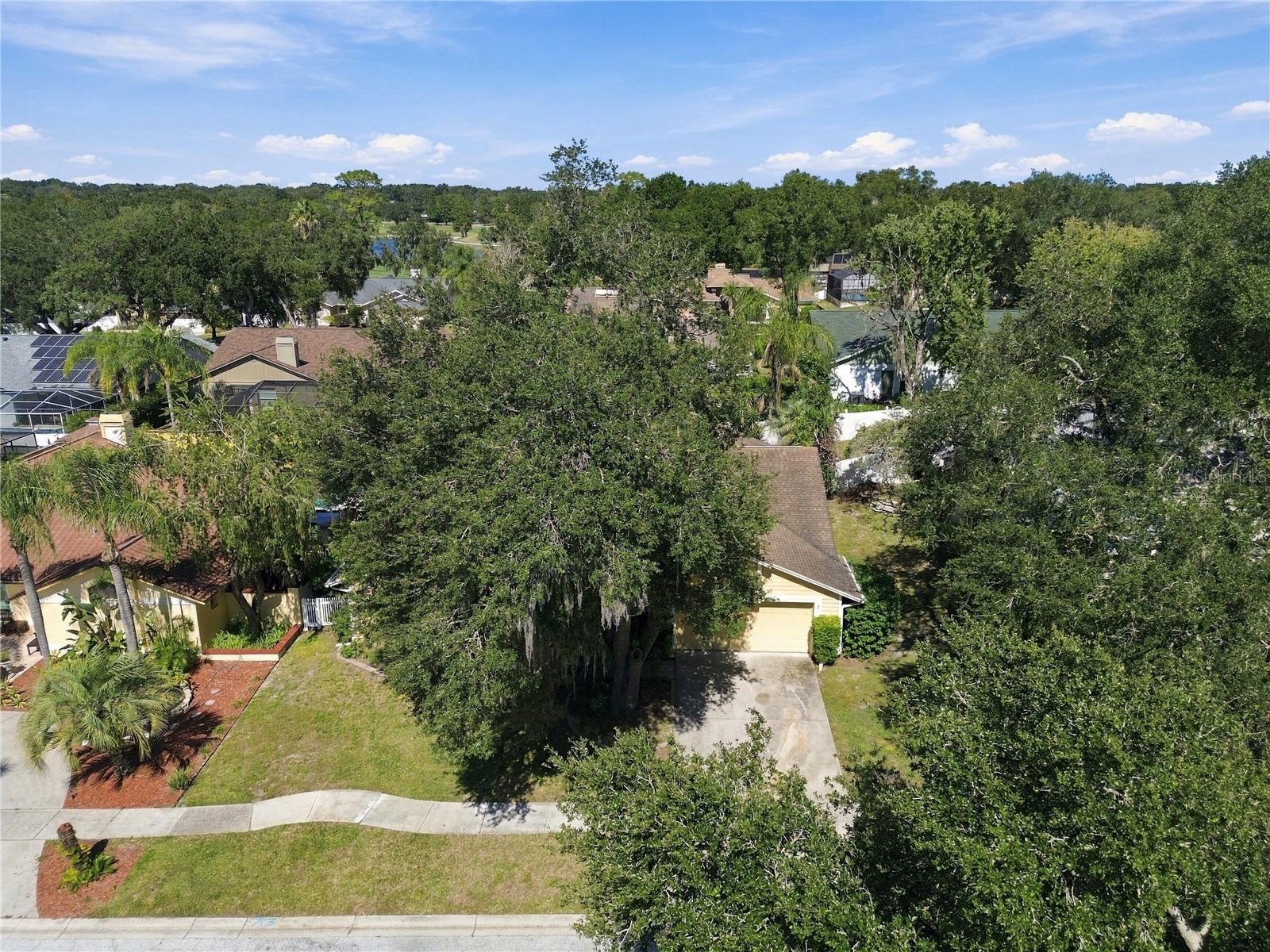 2510 BRIMHOLLOW DRIVE, Valrico, FL 33596