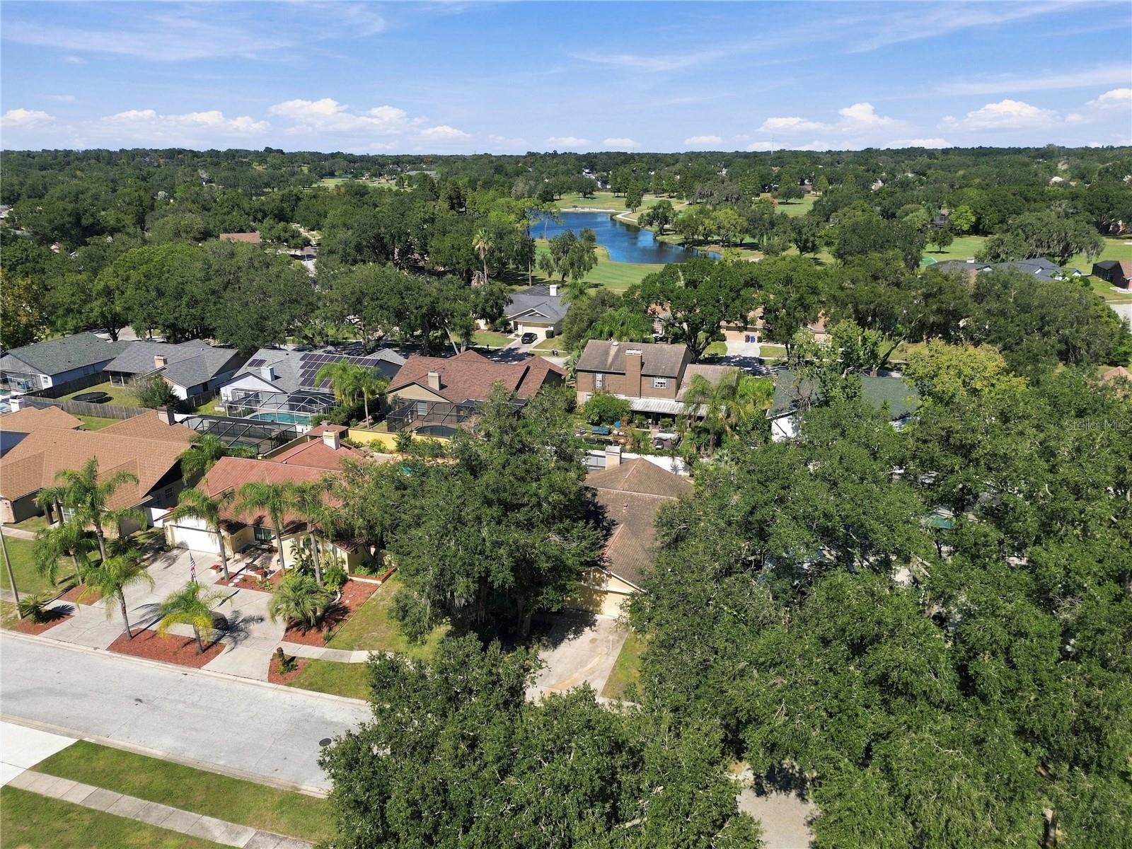 2510 BRIMHOLLOW DRIVE, Valrico, FL 33596
