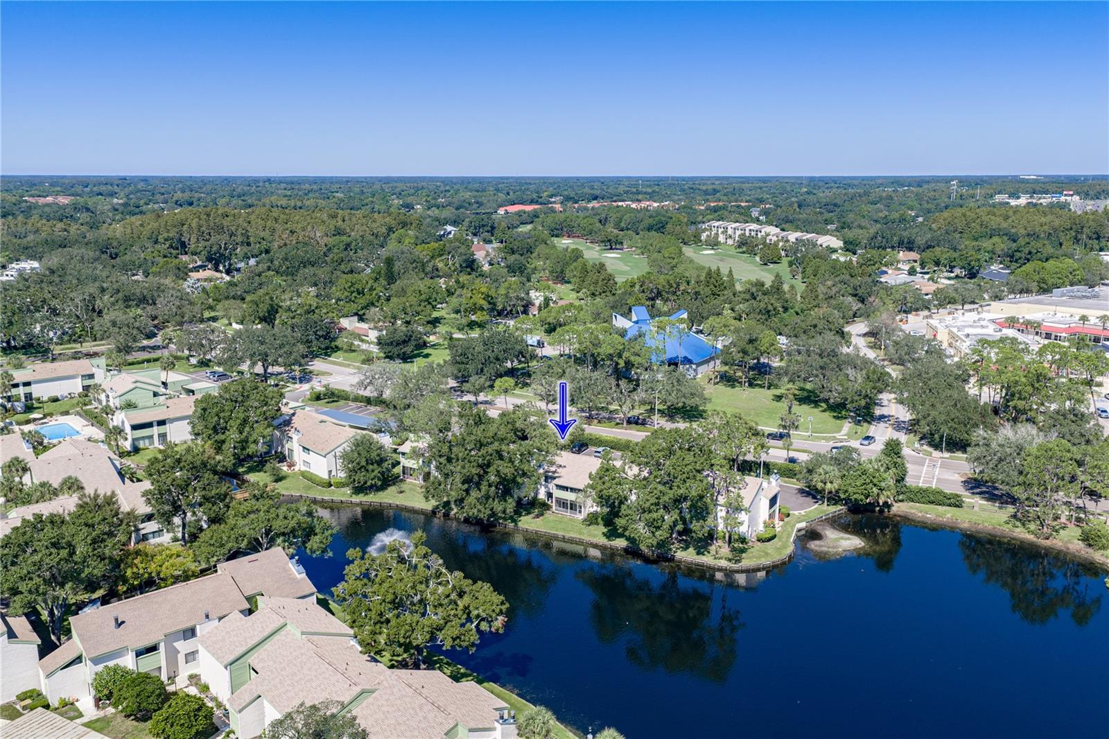 Arial View of Unit and Lake