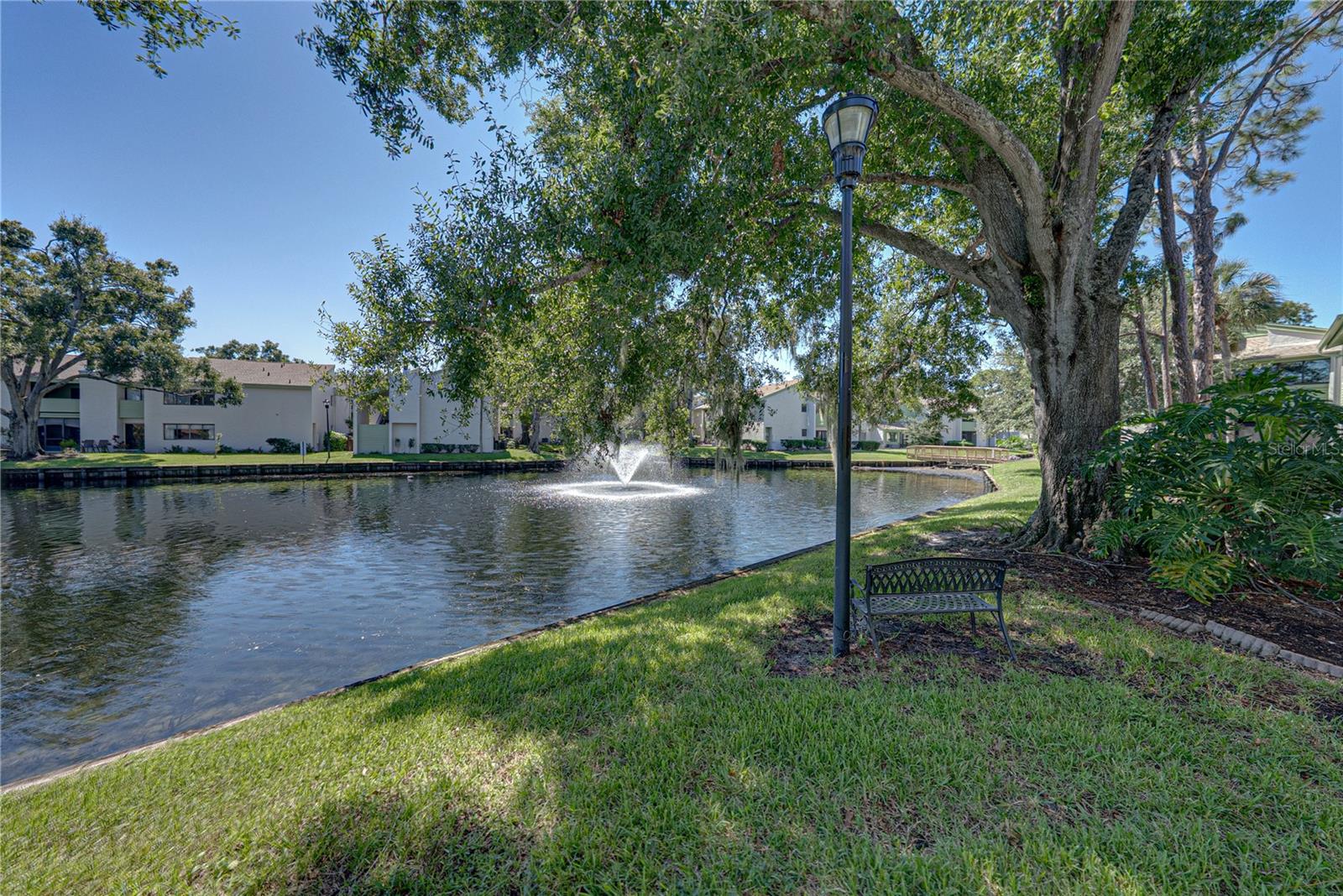 Gorgeous Direct Views of the Lake and Fountain