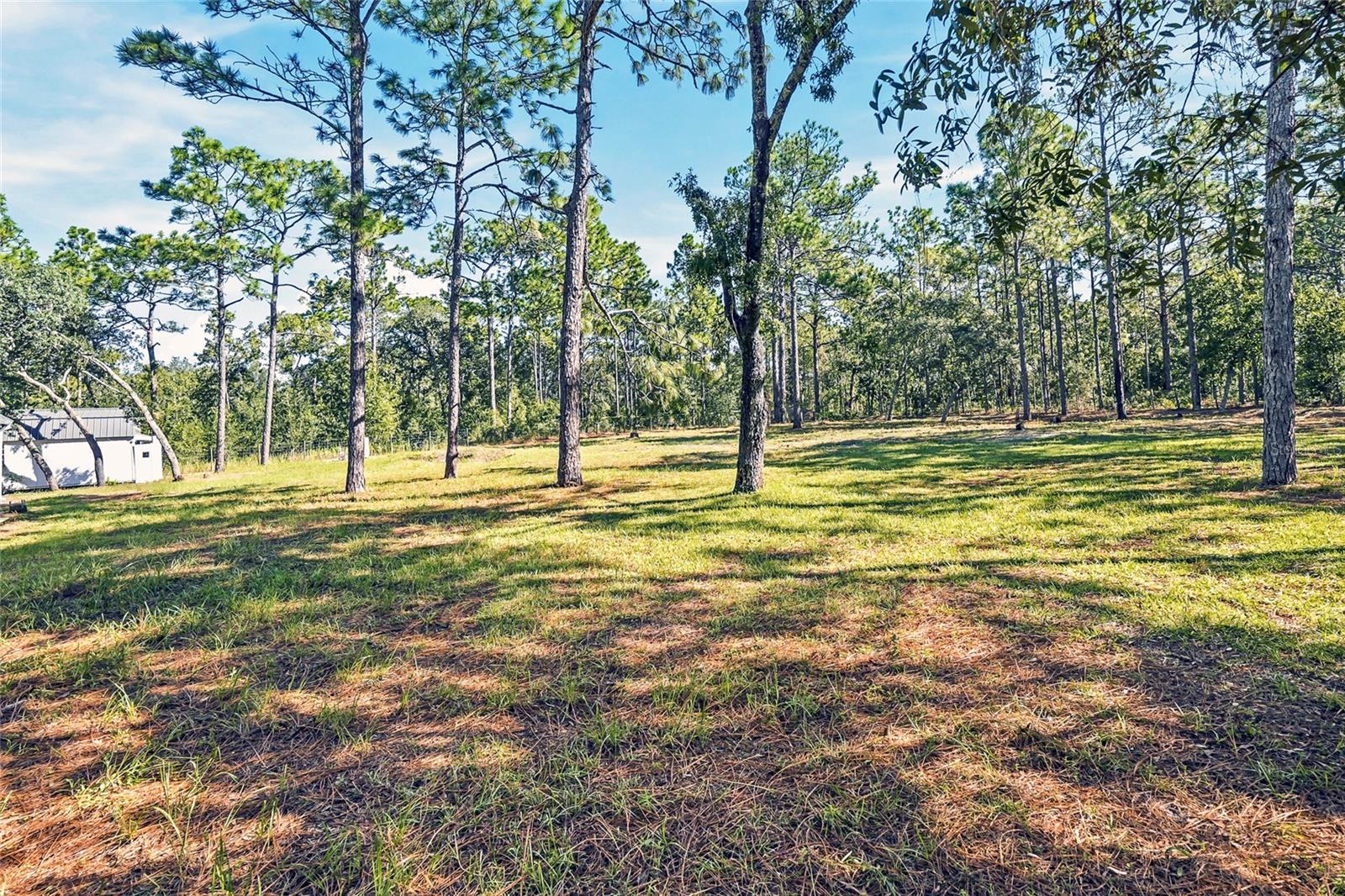 18200 NORMANDEAU STREET, Spring Hill, FL 34610