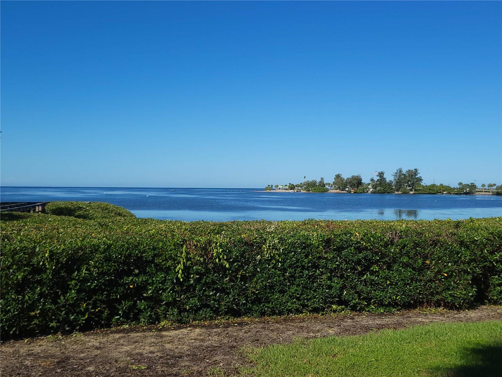 300 S FLORIDA AVENUE, #100L, Tarpon Springs, FL 34689