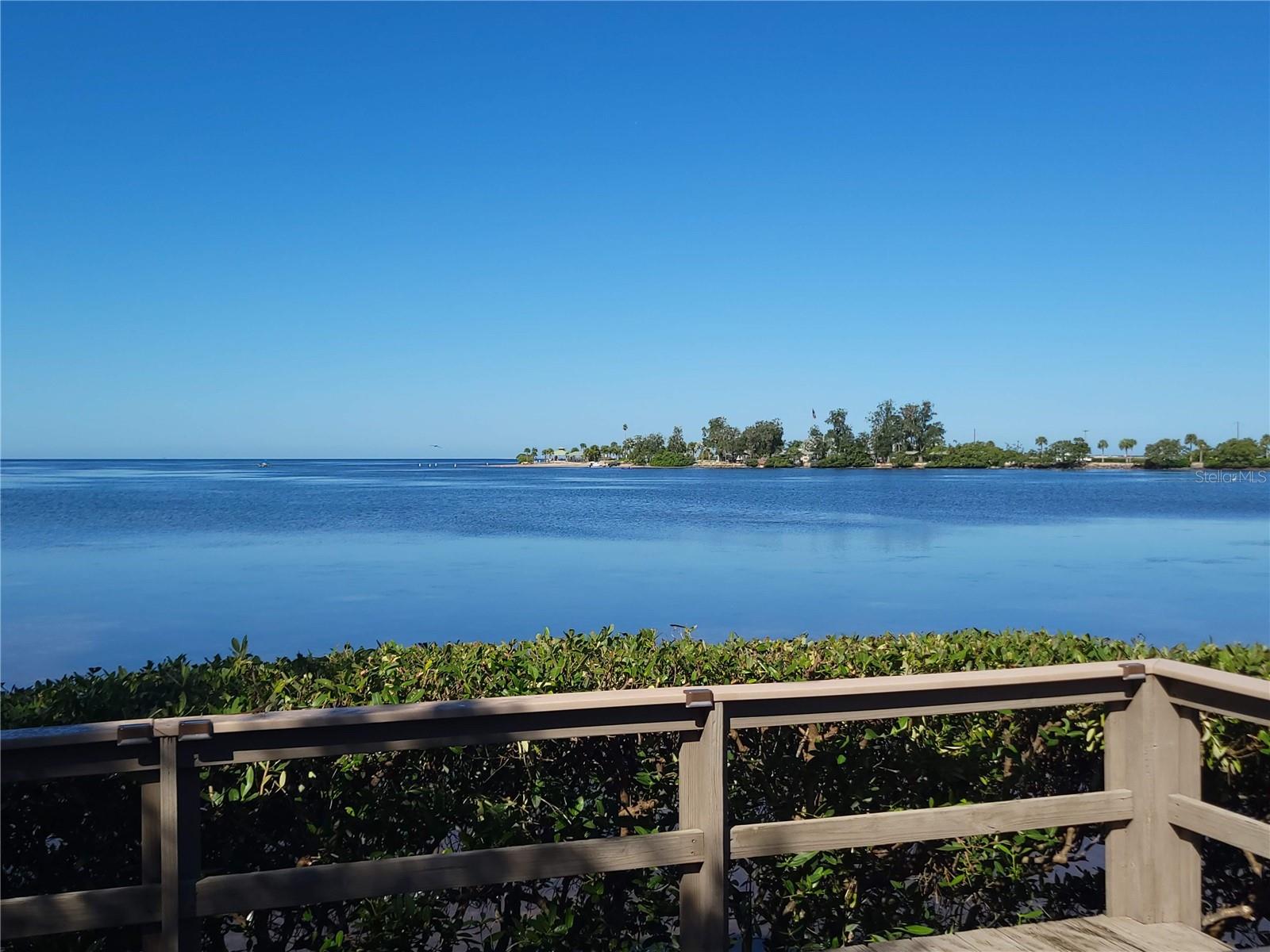 300 S FLORIDA AVENUE, #100L, Tarpon Springs, FL 34689