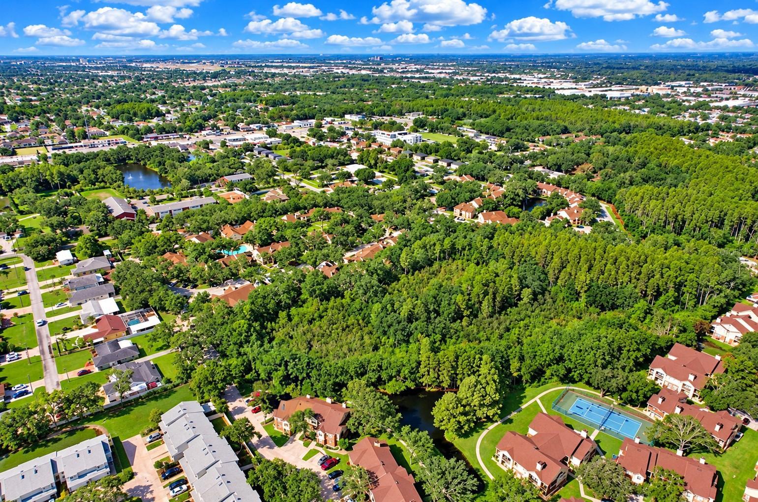 8647 MALLARD RESERVE DRIVE, #203, Tampa, FL 33614