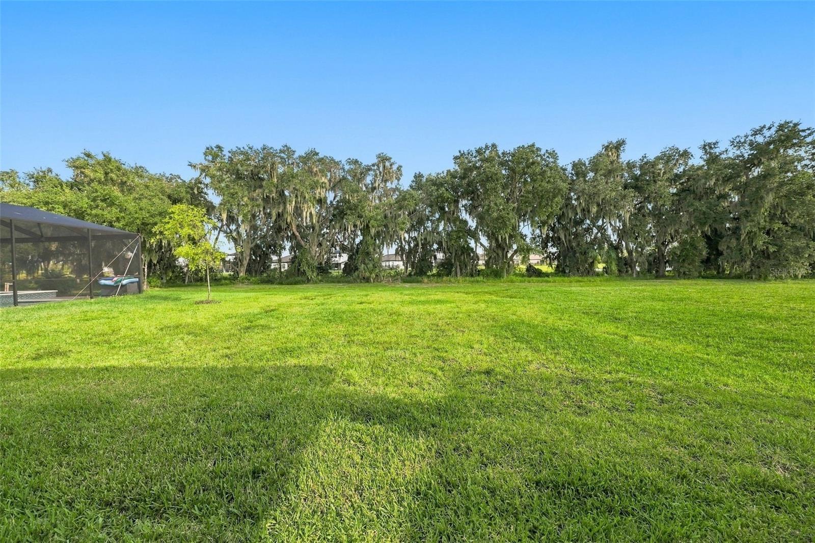 14733 GALLOP RUN DRIVE, Lithia, FL 33547