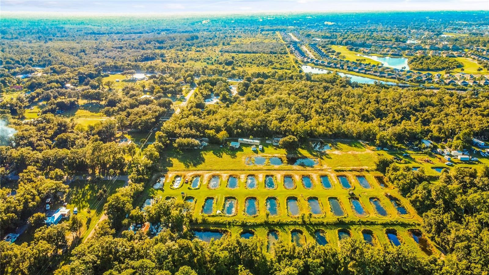 5010 RUTH MORRIS ROAD, Wimauma, FL 33598 5010 RUTH MORRIS ROAD, Wimauma, FL 33598