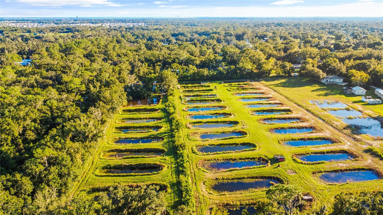5010 RUTH MORRIS ROAD, Wimauma, FL 33598