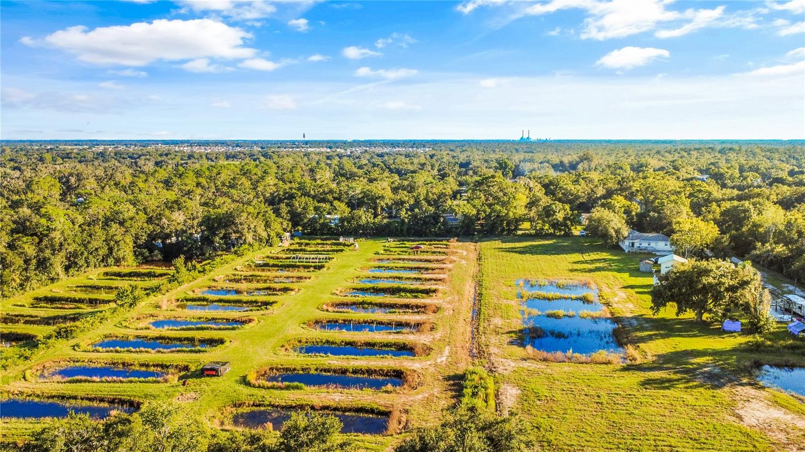 5010 RUTH MORRIS ROAD, Wimauma, FL 33598 5010 RUTH MORRIS ROAD, Wimauma, FL 33598