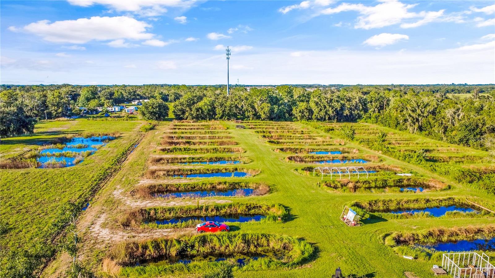 5010 RUTH MORRIS ROAD, Wimauma, FL 33598
