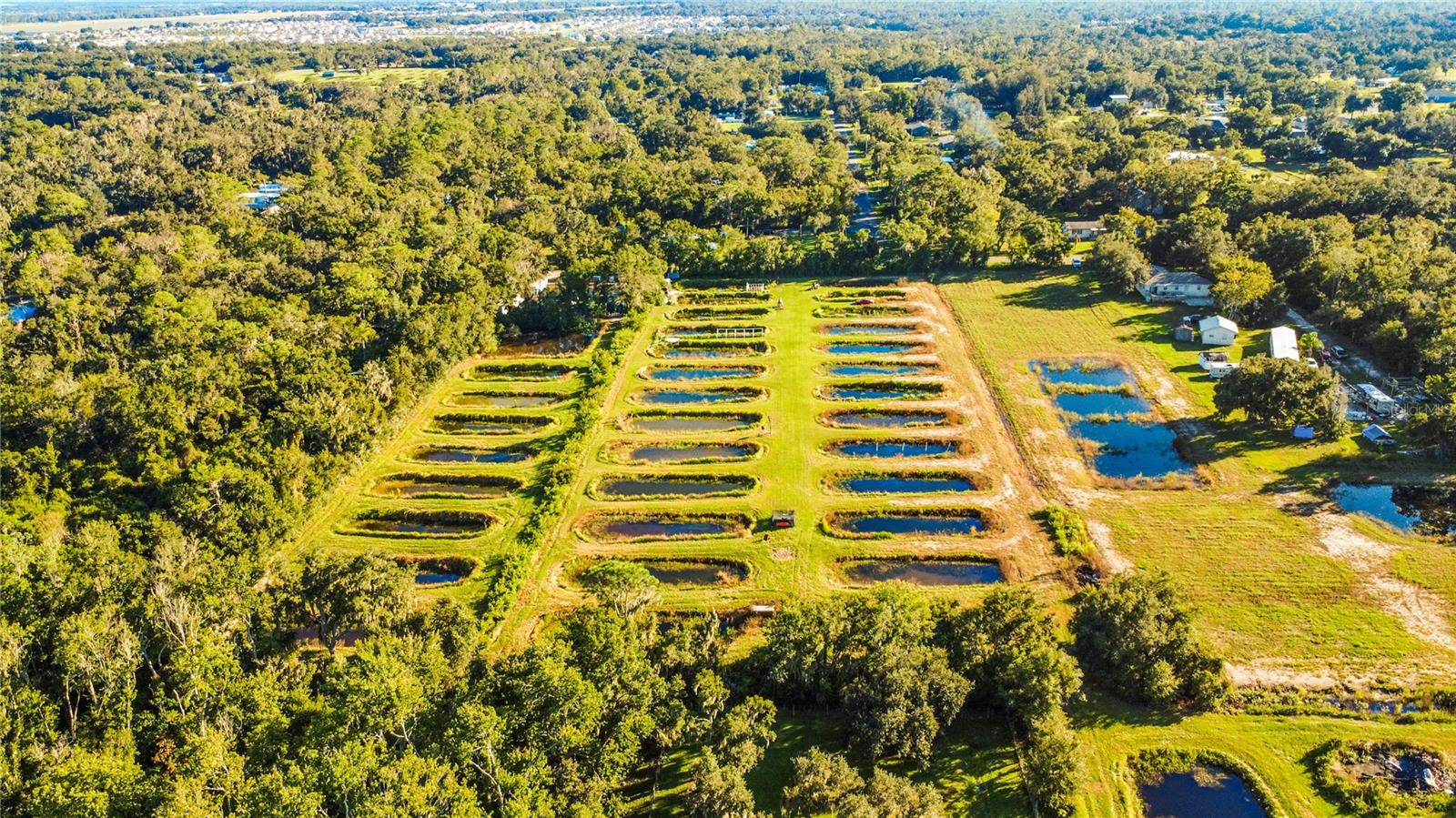 5010 RUTH MORRIS ROAD, Wimauma, FL 33598