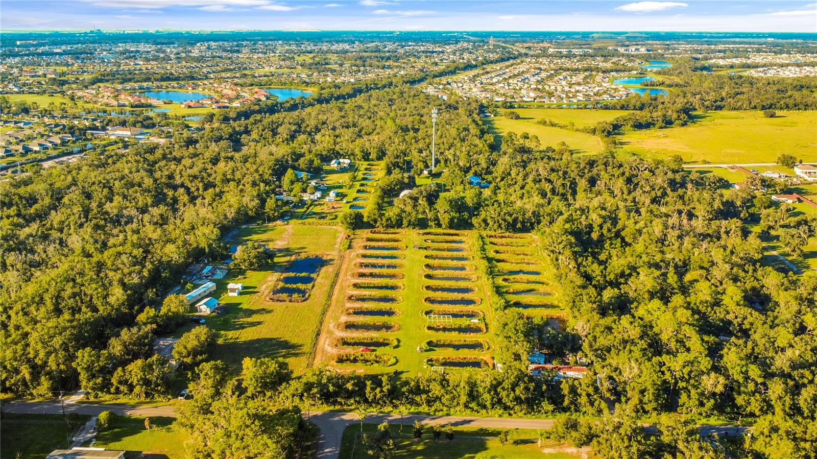5010 RUTH MORRIS ROAD, Wimauma, FL 33598 5010 RUTH MORRIS ROAD, Wimauma, FL 33598