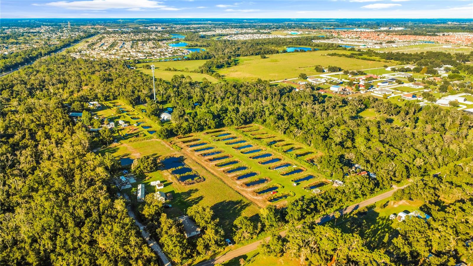 5010 RUTH MORRIS ROAD, Wimauma, FL 33598 5010 RUTH MORRIS ROAD, Wimauma, FL 33598