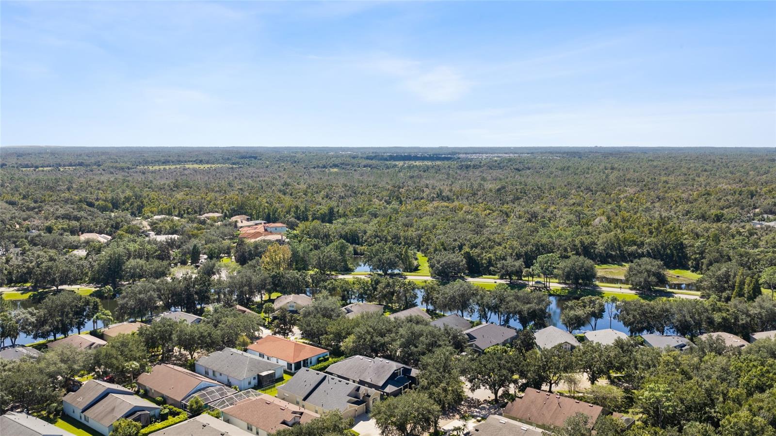 6020 MARTINGLADE PLACE, Lithia, FL 33547