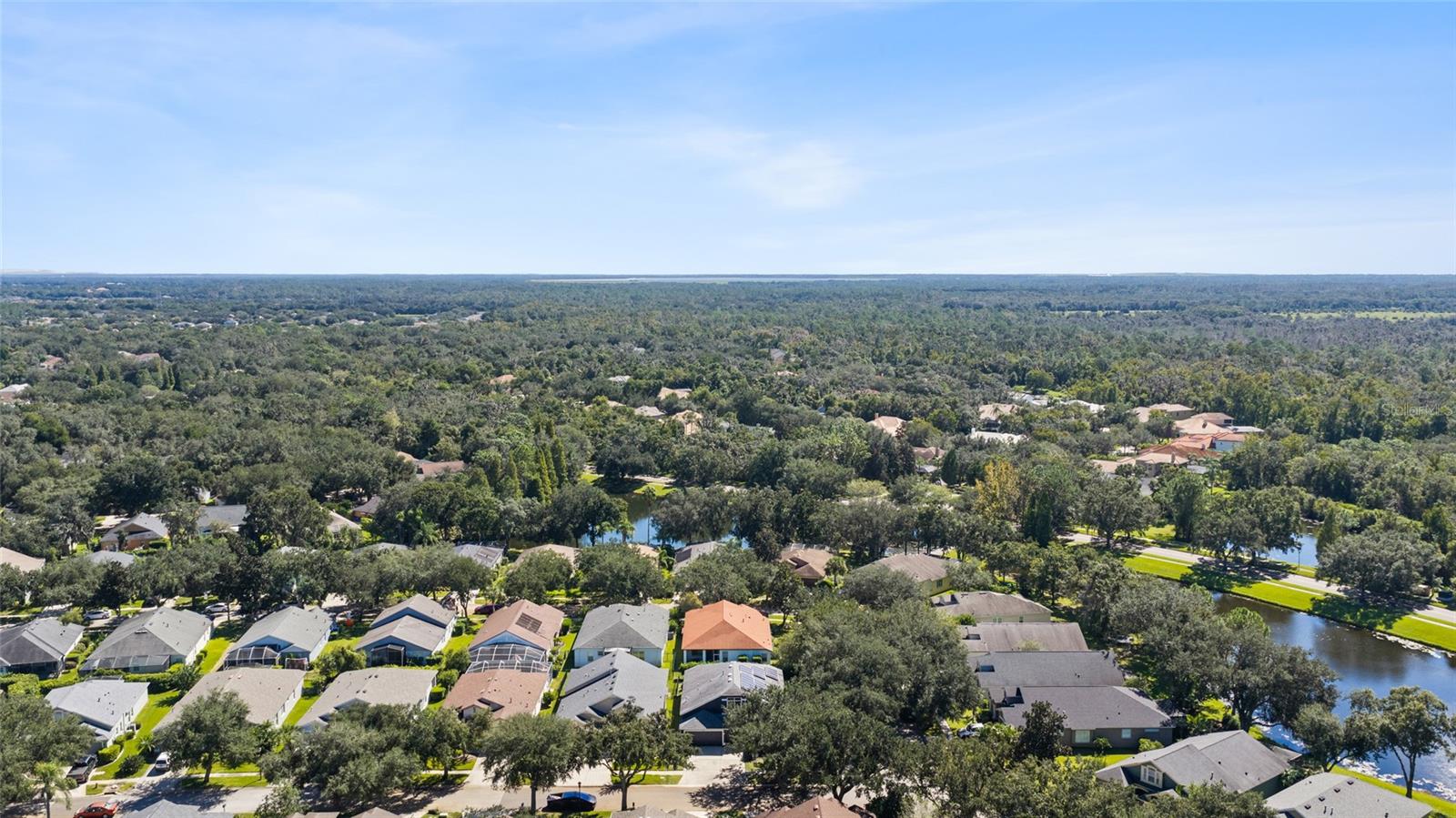 6020 MARTINGLADE PLACE, Lithia, FL 33547
