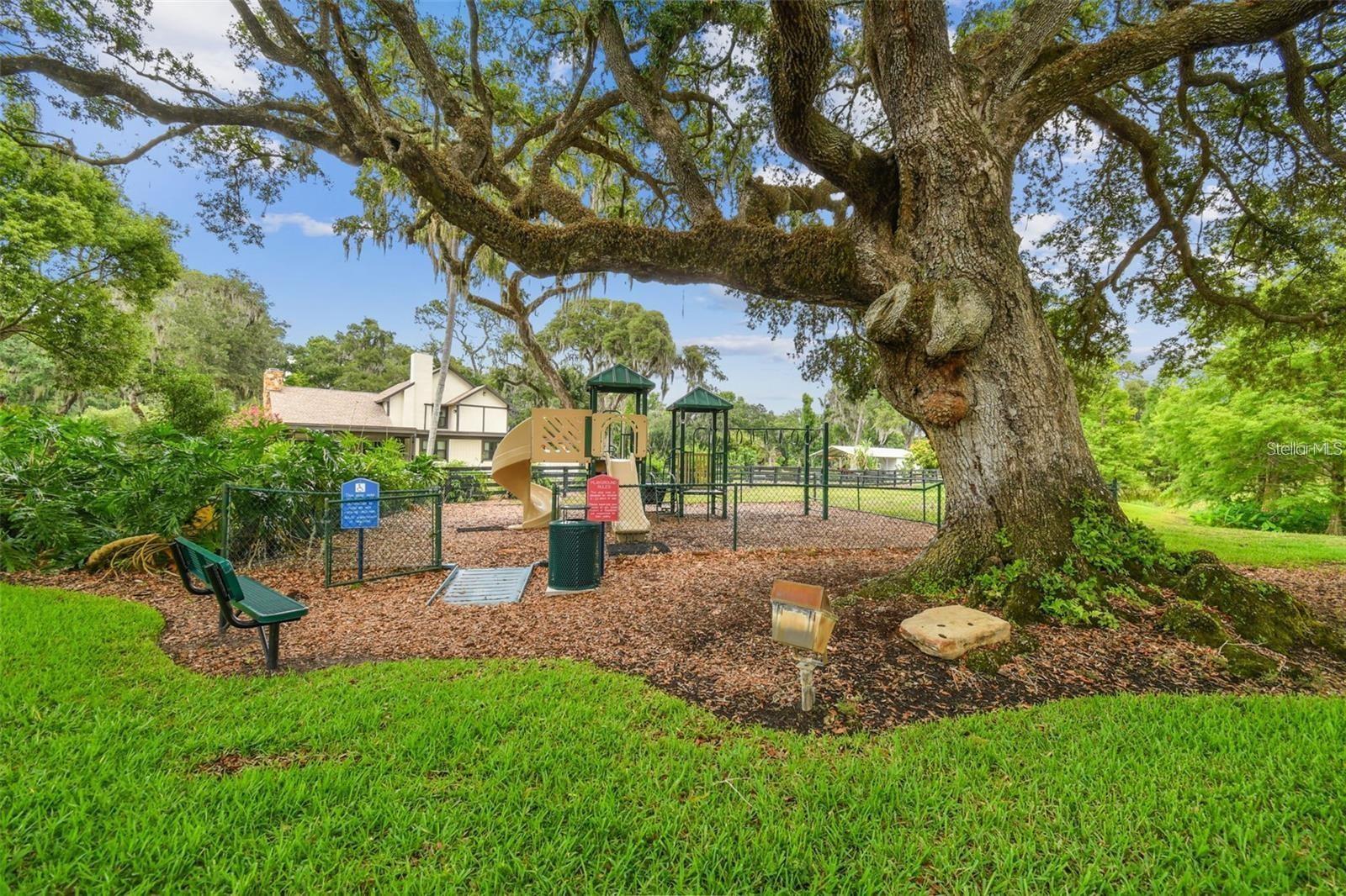 12125 STONELAKE RANCH BOULEVARD, Thonotosassa, FL 33592