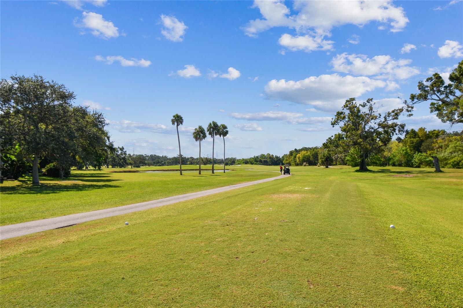 1200 COUNTRY CLUB DRIVE, #3202, Largo, FL 33771