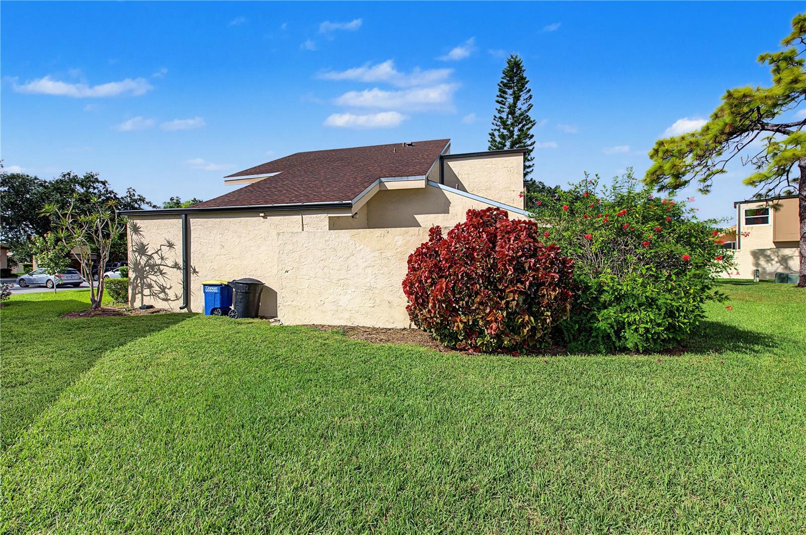 Side yard - cul de sac lot