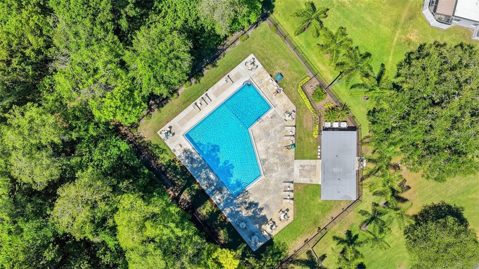 Community pool