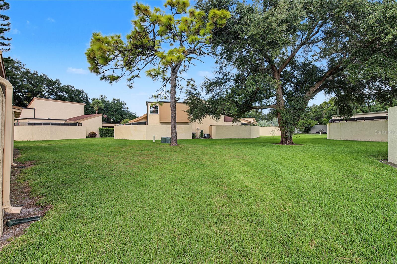 Back Yard -cul de sac lot