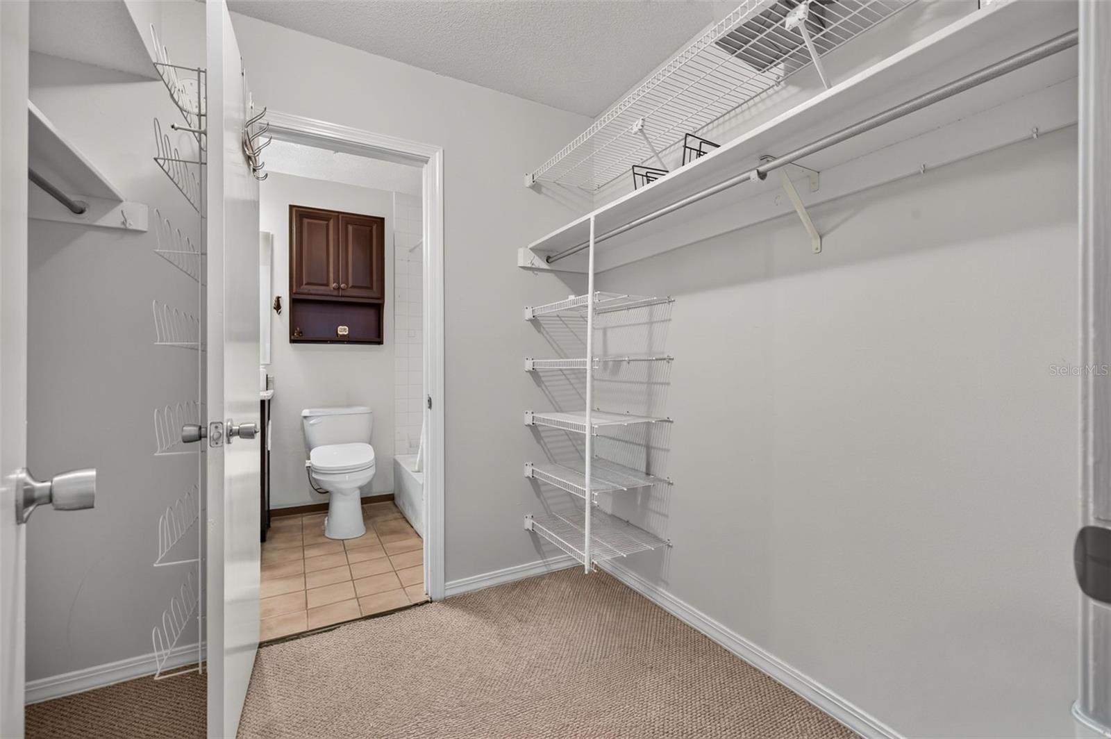 Primary walk-in closrt