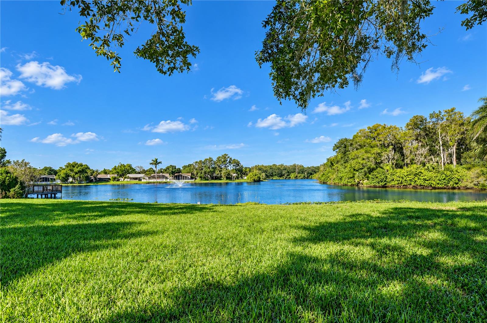 404 LAKEVIEW DRIVE, Oldsmar, FL 34677