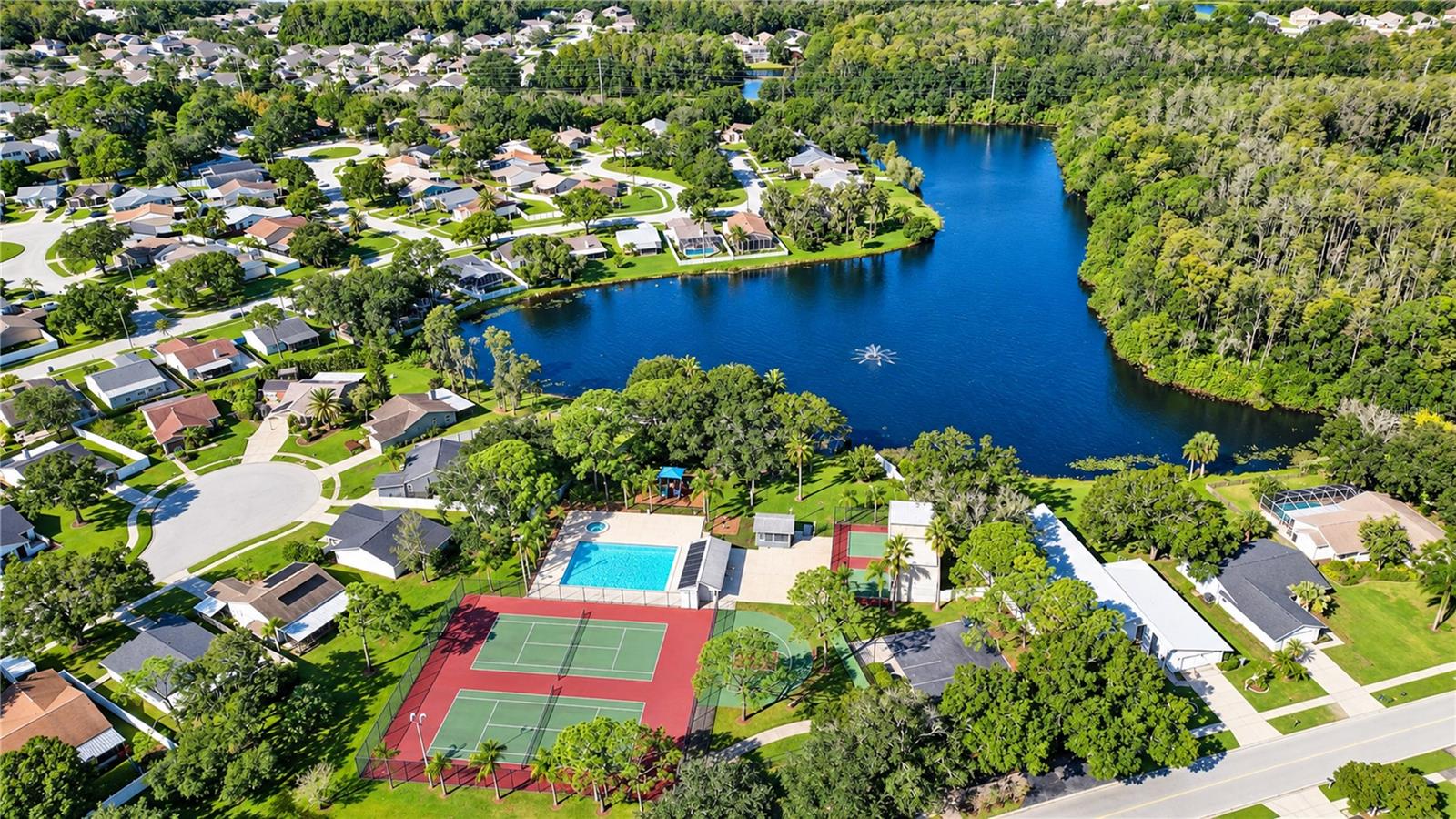 404 LAKEVIEW DRIVE, Oldsmar, FL 34677