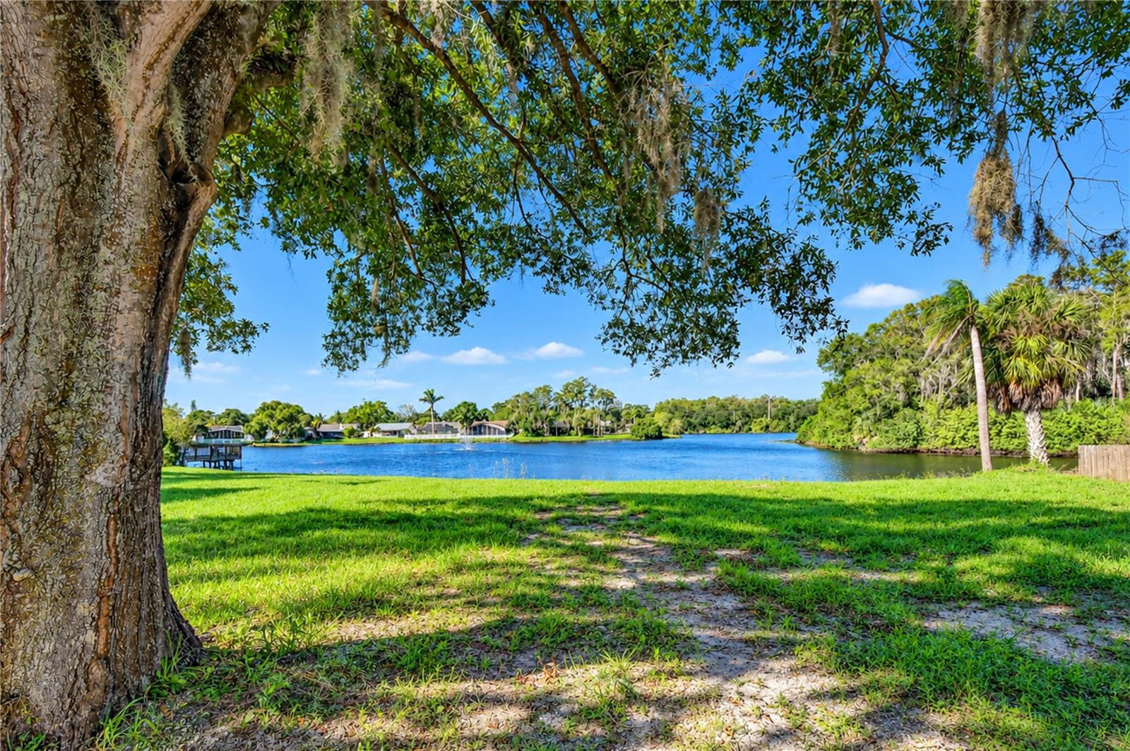 404 LAKEVIEW DRIVE, Oldsmar, FL 34677