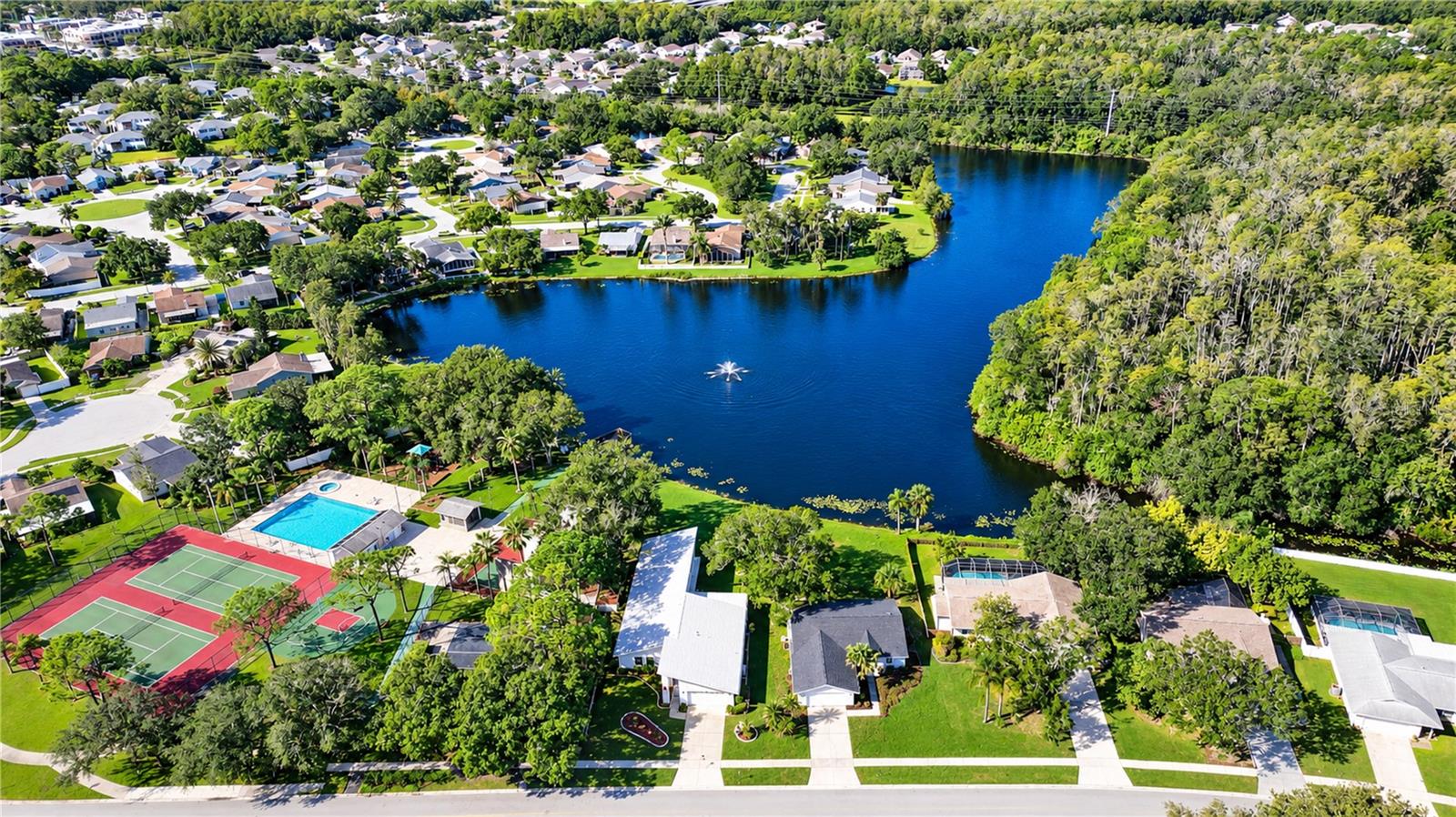 404 LAKEVIEW DRIVE, Oldsmar, FL 34677