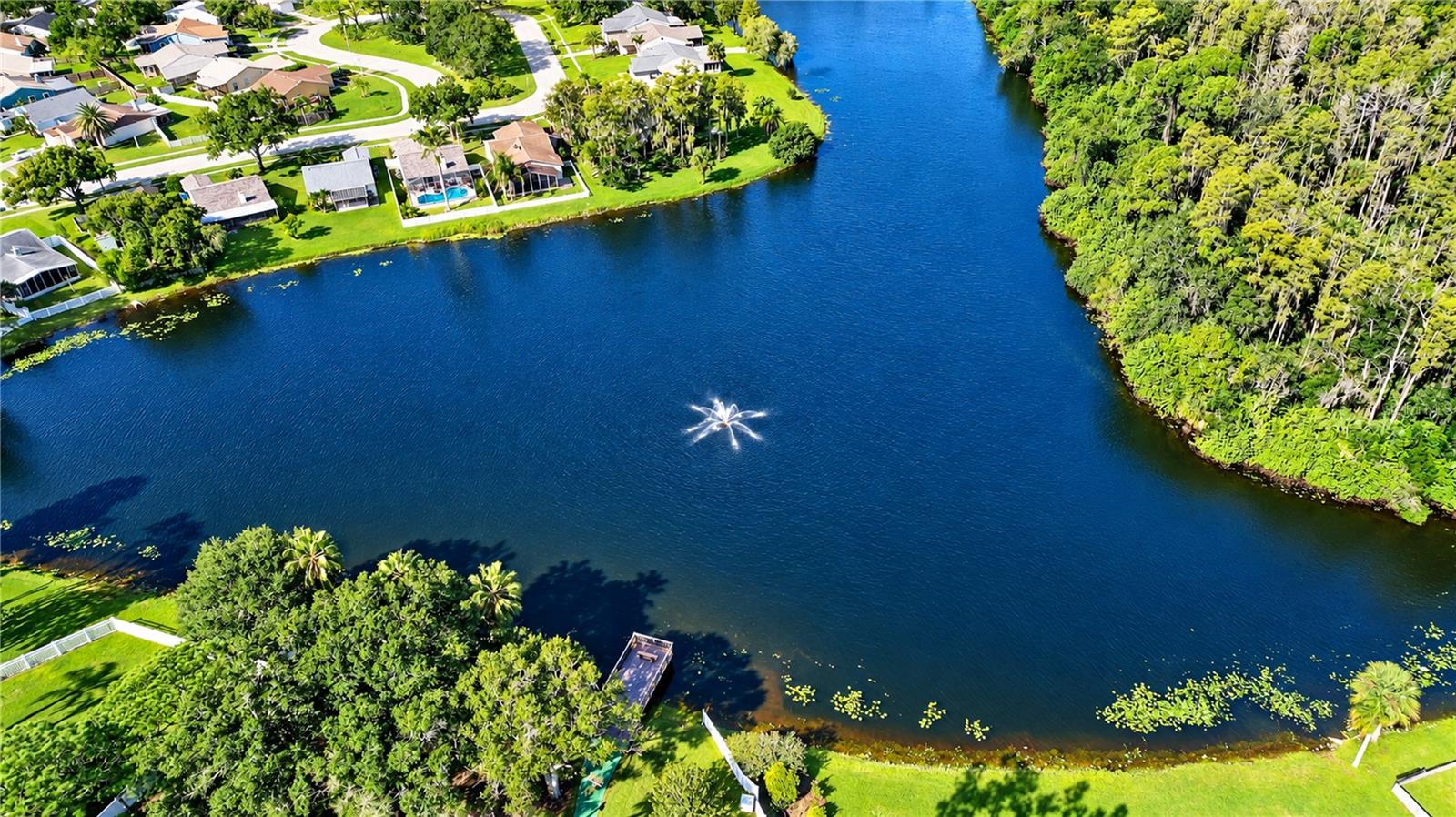 404 LAKEVIEW DRIVE, Oldsmar, FL 34677