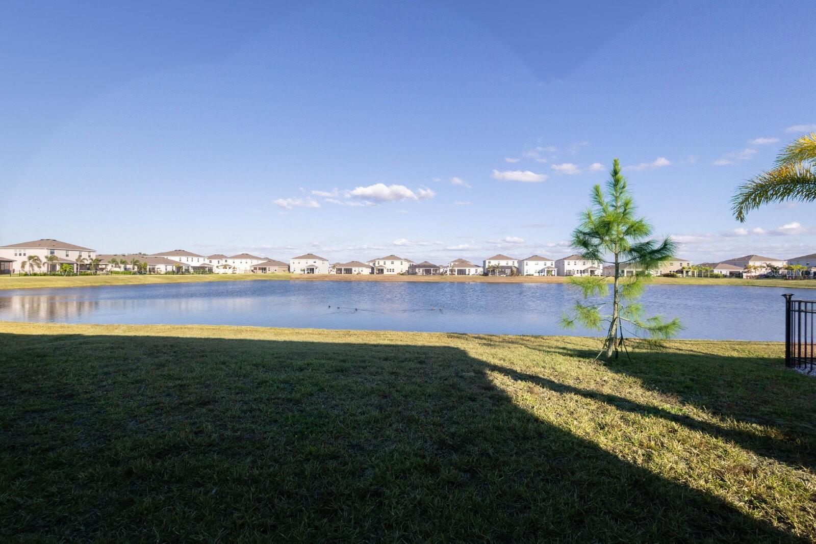 345 MANGROVE MANOR DRIVE, Apollo Beach, FL 33572