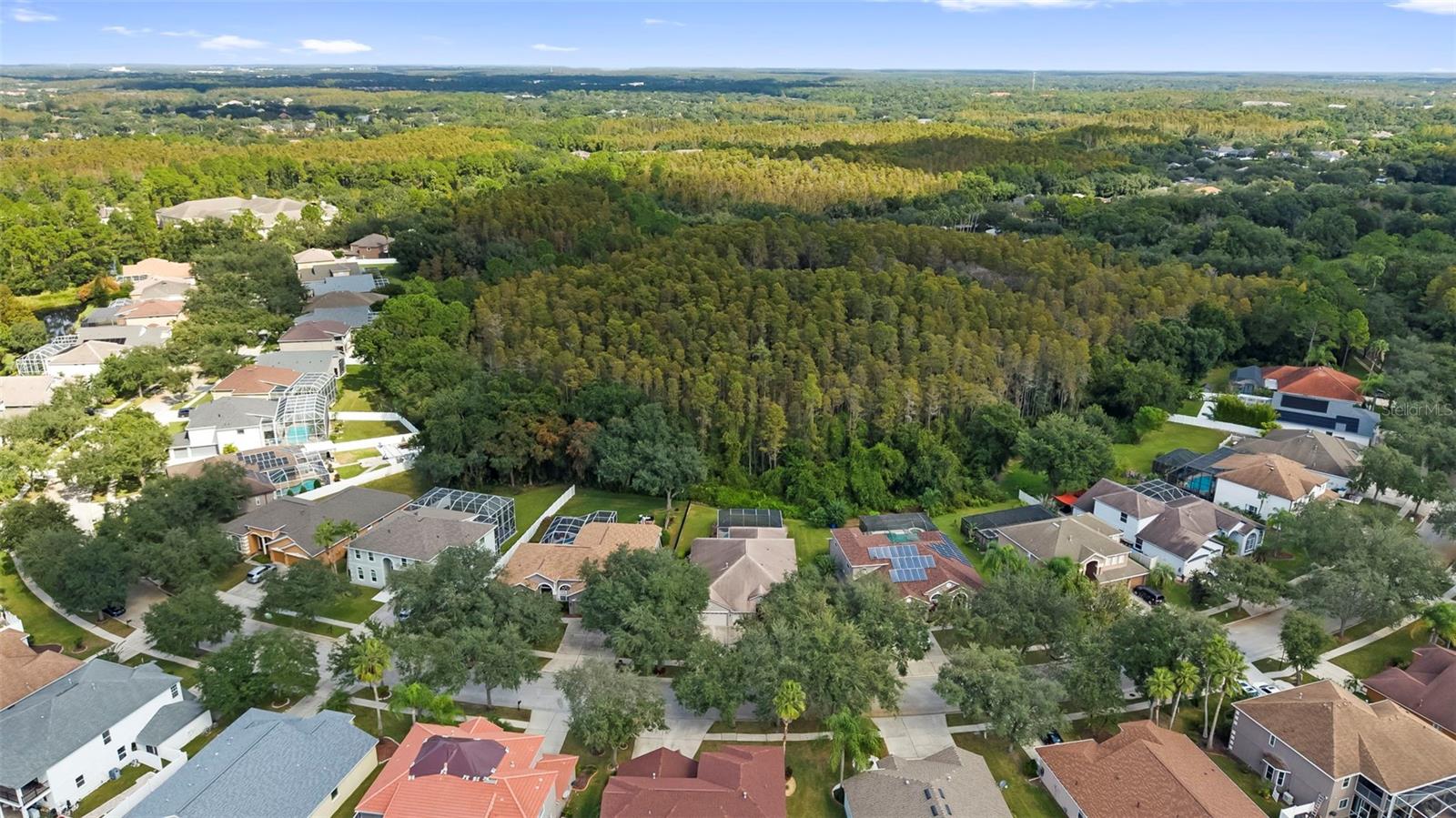 8121 BRINEGAR CIRCLE, Tampa, FL 33647