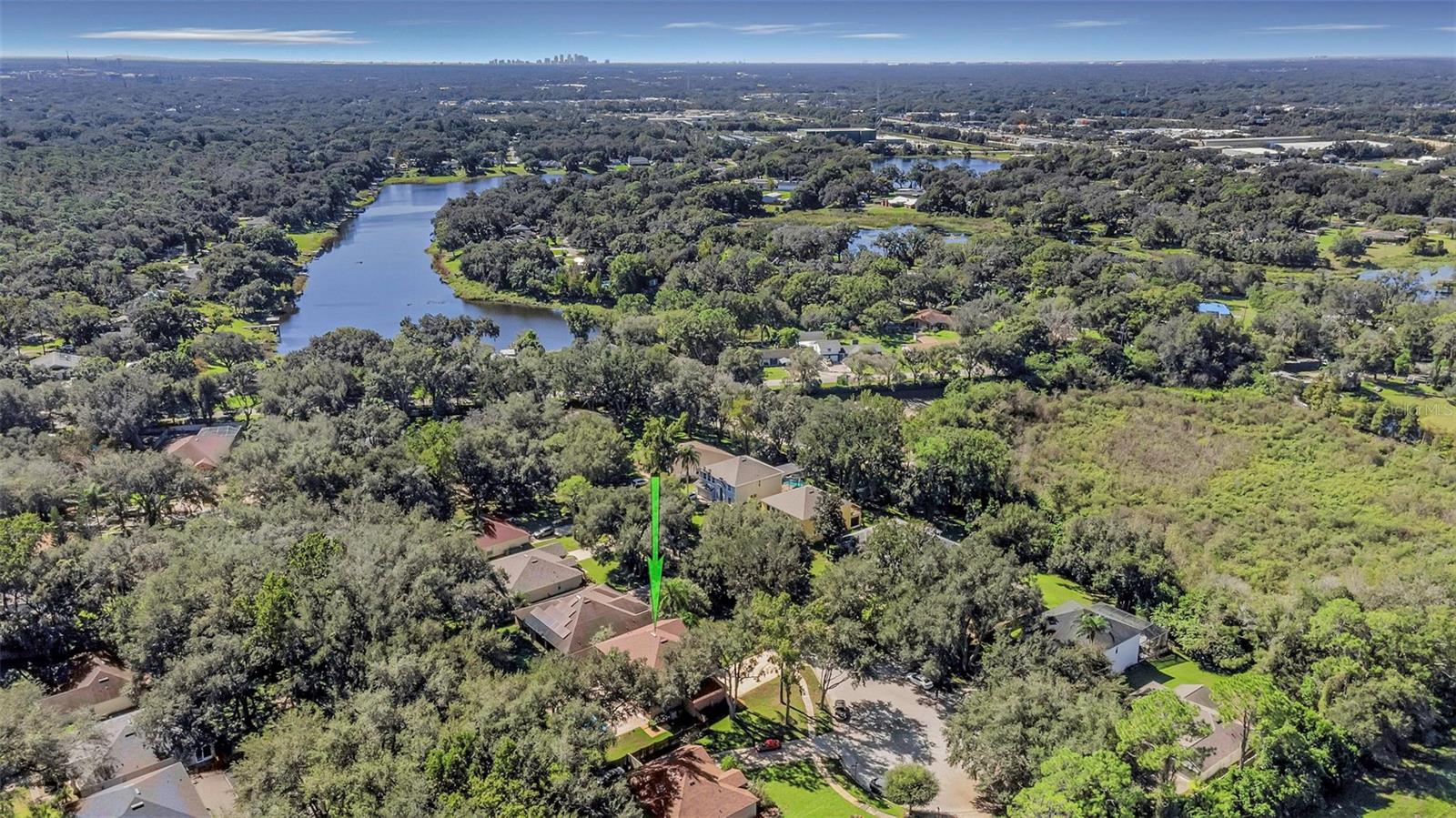 1406 MCCREA DRIVE, Lutz, FL 33549