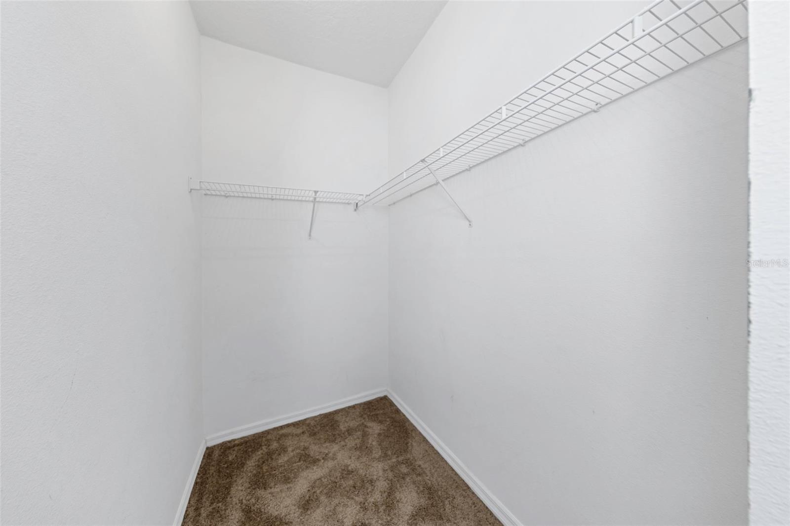 1406 MCCREA DRIVE, Lutz, FL 33549