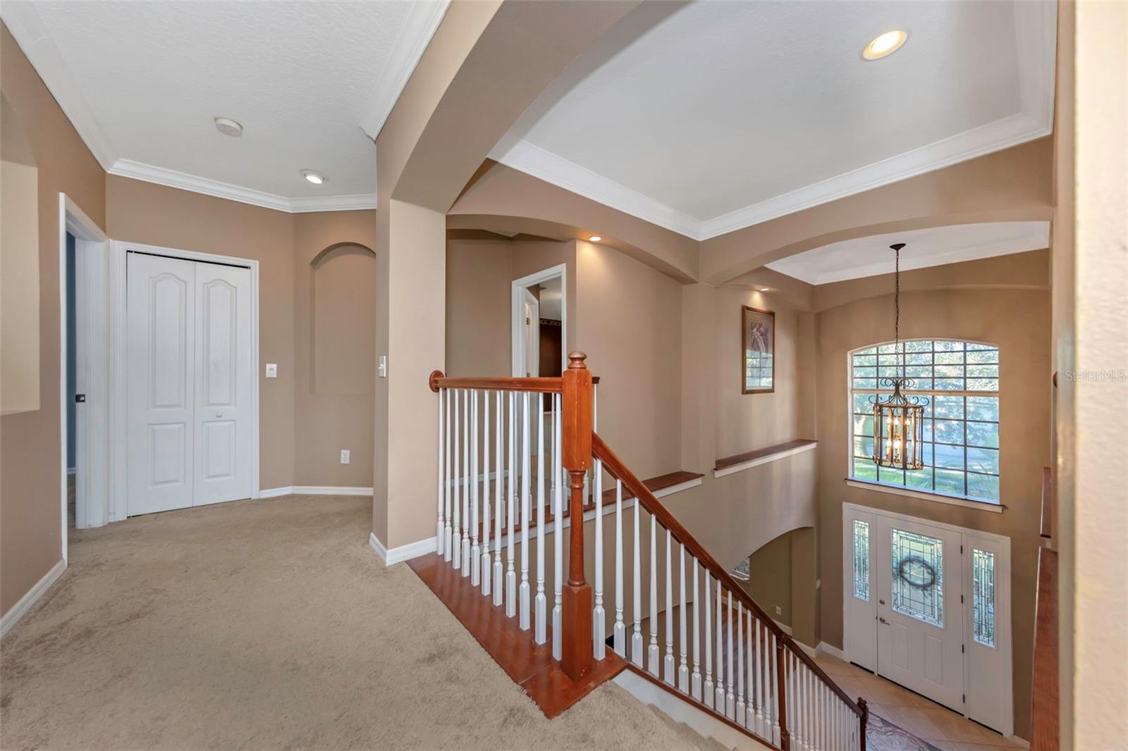 1406 MCCREA DRIVE, Lutz, FL 33549