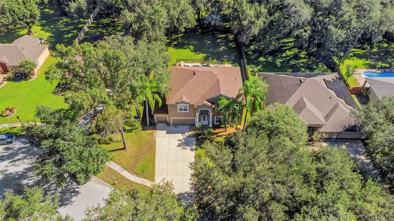 1406 MCCREA DRIVE, Lutz, FL 33549